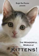 wonderful world of kittens DVD